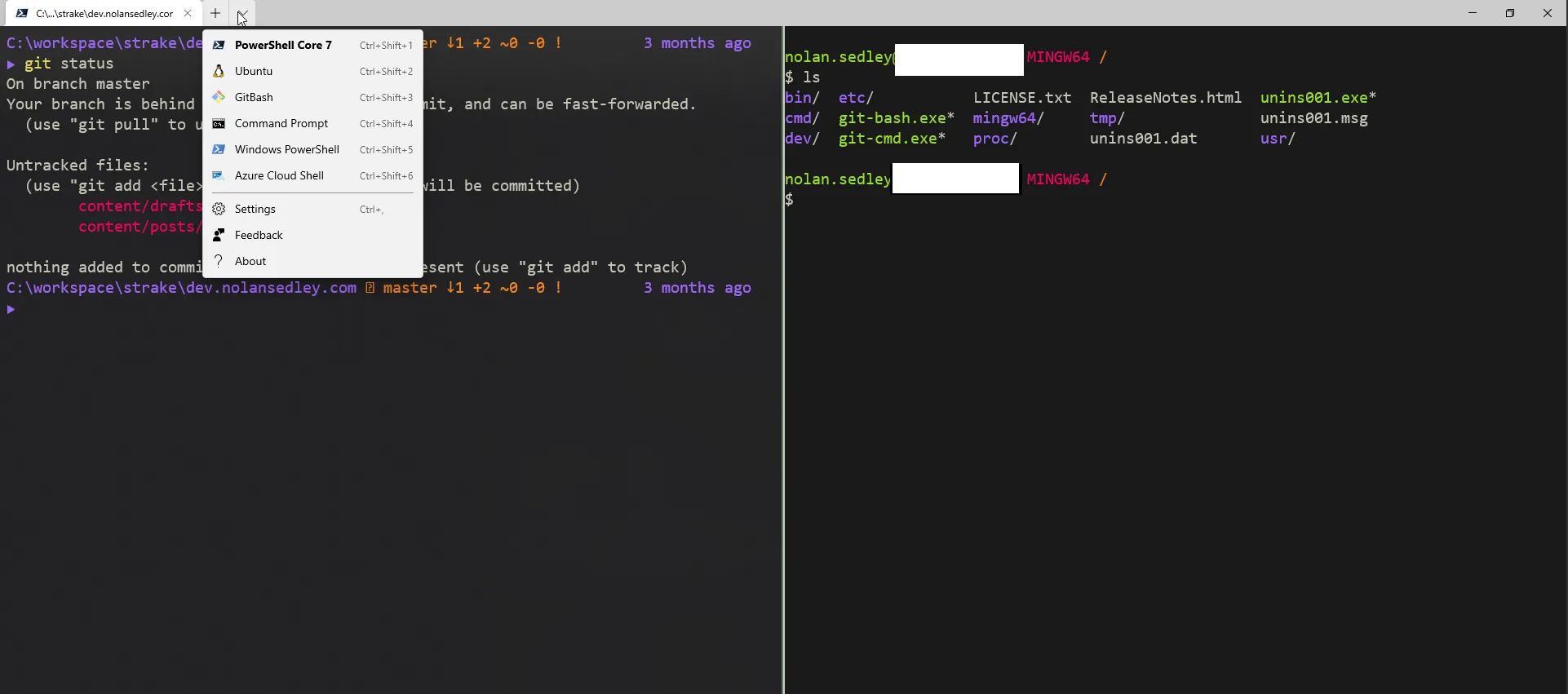 windows terminal preview
