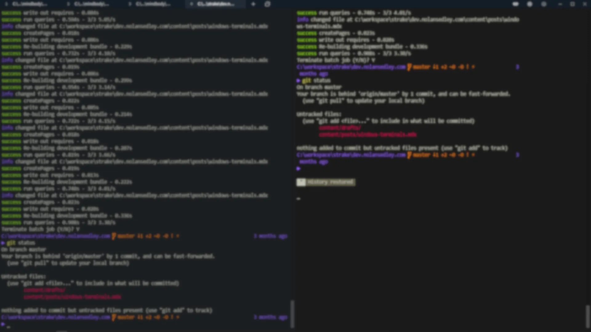 Blurred screen capture of Terminus terminal